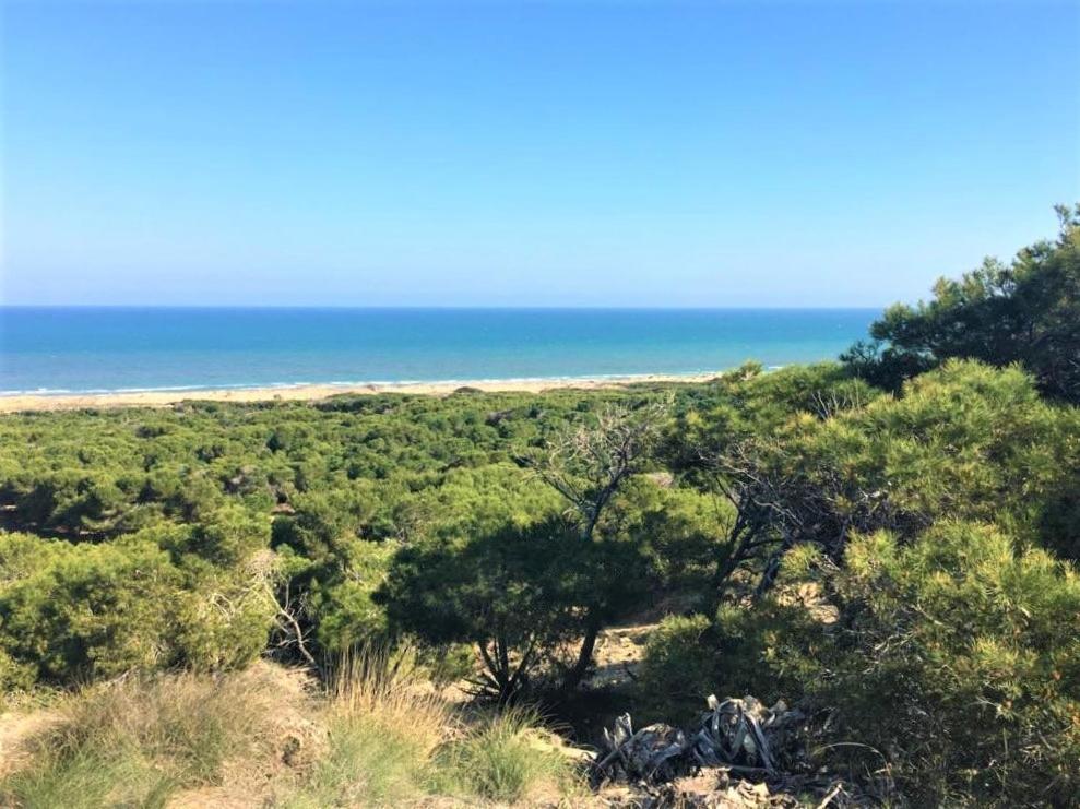 Casa Jirafa Con La Vista Villa Gran Alacant Bagian luar foto